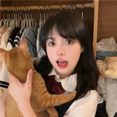 教室里的一头牦牛